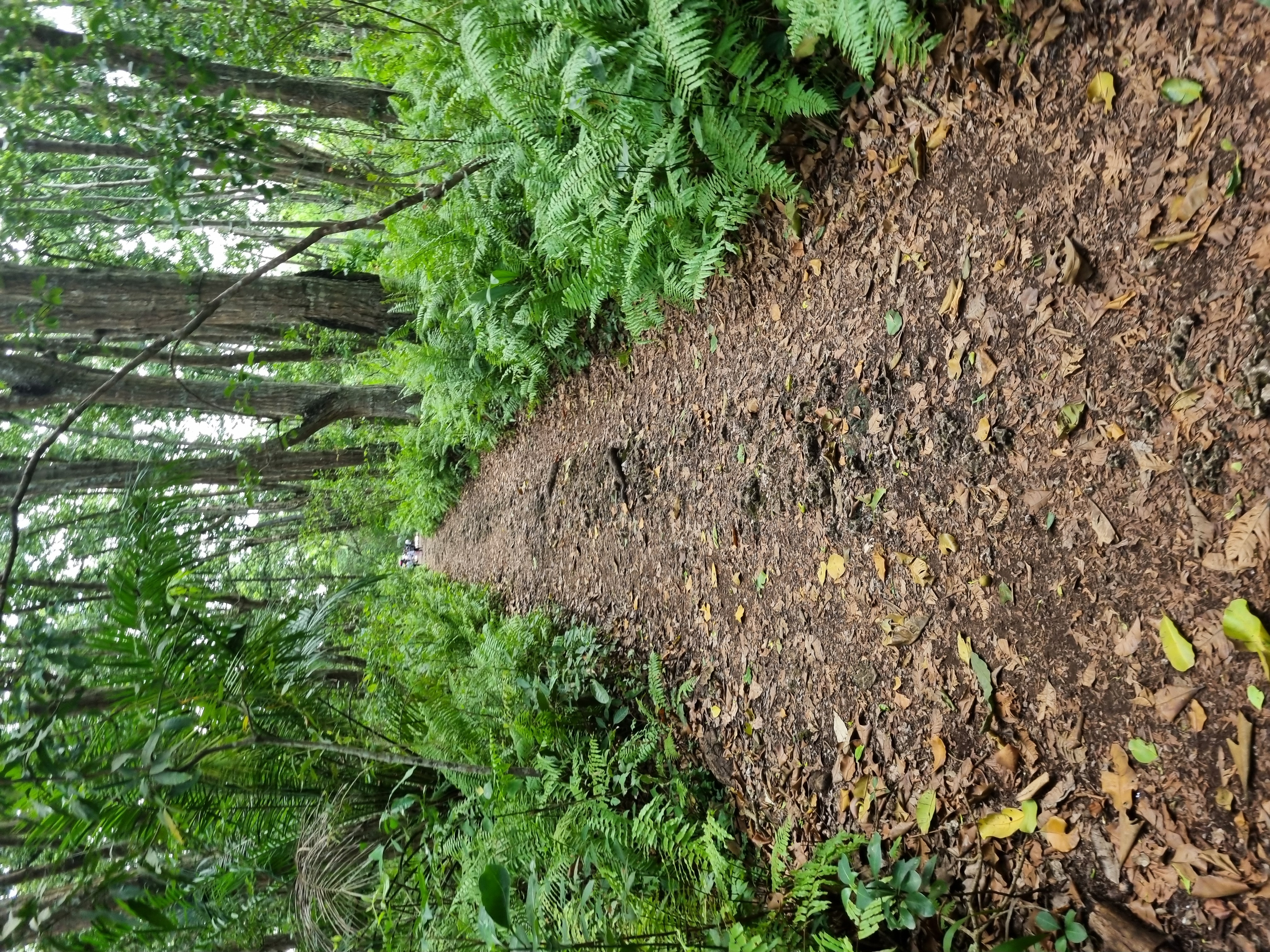 Conservation projects